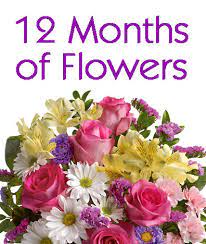 We did not find results for: Flowers Delivered Monthly A Year Of Flowers