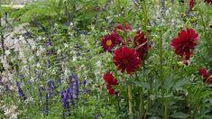 Du und dein garten mdr | wenn sie jedoch nicht die grundlagen der designform richtig bemerken, wird durch das beifügen von pflanzen darüber hinaus merkmalen niemals ein äußerst spektakulärer garten entstehen. 63 Bienen I Hauptstadt Garten Ideen In 2021 Bienen Wildbienen Hummeln