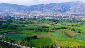 Yani durum iki taraf için de karlı olmuş oluyor. Ticari Imarli Arsaya Ev Yapilir Mi