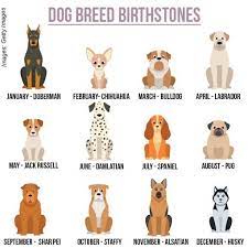 Pin By Rebecca Hailee Longwell On Me Zodiac Signs Animals Dog Zodiac Zodiac Signs Funny