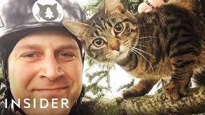 Why These Brothers Rescue Cats From Trees