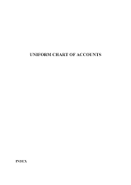 Uniform Chart Of Accounts Of Turkey Advanced Accounting