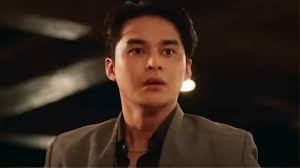 Coco Martin Universe