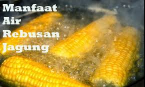 Cara mengobati asam urat tidak cukup hanya dengan obat dari dokter. Khasiat Air Rebusan Jagung Merawat Diabetis Darah Tinggi Dan Batu Karang My Info Maya