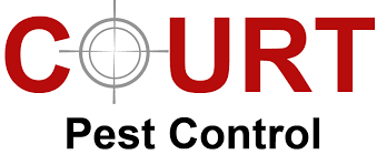 1061 3rd st # 1 north versailles pa 15137. Court Pest Control Pest Remediation And Exclusion