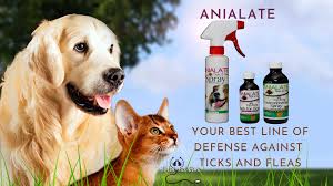 What does total care mobile veterinary practice do? Total Pet Care Pet Supplies Company Limited Home Facebook