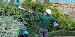 Desert Group | Best and Quality Landscaping Company in UAE | Best Landscape  Design | Landscape Construction | Golf Course Construction and Maintenance  | Pools and Waterscape | Plant Nursery - Desert Group | Best Landscaping  Company in UAE