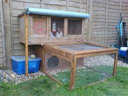 Guinea pigs do need a large cage and opportunities to exercise and play outside of the cage, as well as a diet that provides adequate vitamin c and roughage. Can I Keep My Guinea Pig Cavy Outdoors Pethelpful