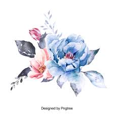 Beautiful Hand Paint Watercolor Rose Flower Flower Flowers Beautiful Flower Png Transparent Clipart Image And Psd File For Free Download Cvetochnye Kartiny Akvarelnye Illyustracii Risunki