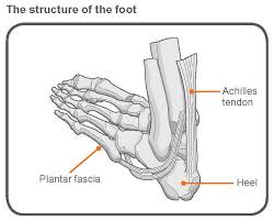 Exercise Advice For Foot Pain The Chartered Society Of