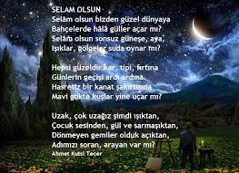 Savas Keskin Adli Kullanicinin Siir Panosundaki Pin Simsek Siir