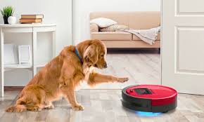 The 10 Best Robot Vacuum For Pet Hair And Hardwood Floors In 2020 Robot Vacuum Robot Vacuum Cleaner Vacuum Cleaner