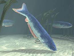 Art Illustration Aquatic Animals Pharyngolepis Is An Extinct Genus Of Primitive Jawless Fis Ancient Fish Prehistoric Animals Prehistoric Animals Dinosaurs