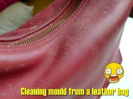 We did not find results for: Mould On Your Leather Bag Some Tips On How To Clean A Mouldy Leather Bag My Women Stuff