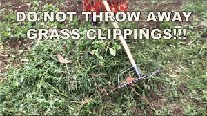 Your lawn will still be healthy and green because each time you mow, you will be returning valuable nutrients to the soil! How To Make Liquid Fertilizer Using Grass Clippings Plant Lover S Diary Youtube