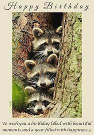 This is my birthday gift to my good friend and talented master artist, rpioneer2019 these are his original. Happy Birthday Racoons 5x7 By Cjlutje Deviantart Com On Deviantart Happy Birthday Birthday Meme Happy Birthday Wishes