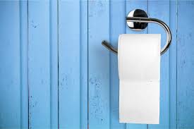Zebras don't go to the bathroom that's a human thing. 10 Reasons Why You Always Have To Pee According To A Urogynecologist