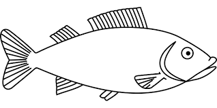 Obrazok Zadarmo Na Pixabay Ryby Morsky Zivot Vodne Fish Outline Fish Clipart Fish Template