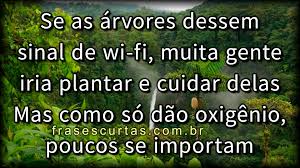Cada dia a natureza produz o suficiente para nossa carência. Frases Preservacao Meio Ambiente Cuidar Da Natureza Mensagens E Frases
