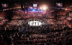 The average price that a fan will the upcoming ufc 265: Tickets For Two December Ufc Events On Sale Friday