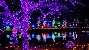 7 Over The Top Light Displays In Kentucky That Are Worth The Drive From Any Corner Of The State Christmas Light Displays Light Display Christmas Lights