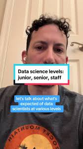 Junior Data Analyst Deloitte