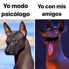 pin pa psicology