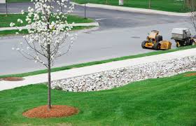 Arbor tree care is your complete landscaping and tree service denver, co provider tackling all the denver tree care needs which help make your home uniquely yours. Residential Tree Care Service Denver Co Shrub Care