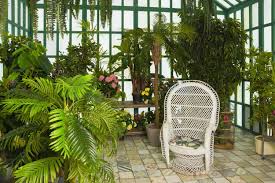 Wenn ihr helfen wollt, bringt mir unbekannte pflanzenteile. Pflanzen Fur Den Wintergarten Unsere Top 15 Plantura