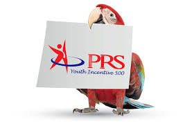 Penawarannya lewat media sosial michat hingga bertemu di jalan. Which Prs Fund To Invest In 2016 Mypf My