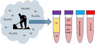 Low Internal Exposure And Absence Of Adverse Effects In Workers Exposed To High Air Levels Of Inorganic Selenium Sciencedirect