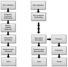 Flowchart For Fruit Juice Processing Using Conventional Or