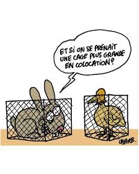 Charlie hebdo plans to publish a journal des survivants next week, as pledges of money and other forms of support continue the journalists asked for their privacy to be respected while they work on next wednesday's special survival edition, which will be limited to eight pages instead of the usual 16. Charlie Hebdo Un Journal Engage Pour Les Animaux Femininbio