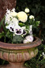 Sie benötigen grundkenntnisse von adobe photoshop und wissen leider konnten wir diesen artikel nicht auf deutsch übersetzen. Fruhlingsblumen In Weiss Fototapete Fototapeten Myloview De