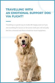 Travelling With An Emotional Support Dog Via Flight
