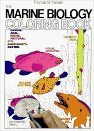 It has real information that provides a solid foundation for further study. The Marine Biology Coloring Book College Outline S Amazon De Niesen Thomas M Fremdsprachige Bucher