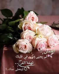 pin by بستان صيف on مواعظ خواطر إسلامية rose flowers plants