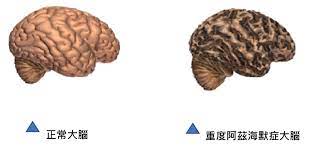 Definition from wiktionary, the free dictionary. é‡'è¬æž—ä¼æ¥­è‚¡ä»½æœ‰é™å…¬å¸kim Forest Enterprise Co Ltd