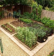 15 Lovely Homestead Farm Garden Layout And Design Ideas Vegetable Garden Design Garden Layout Vegetable Garden Layout