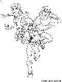 Pypus is now on the social networks, follow him and get latest free coloring pages and much more. Wildvine Coloring Page