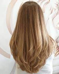 Long Wigs Long Lasting Wigs Ananwigs Hairdo For Long Hair Haircuts For Long Hair Hair Styles