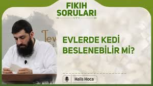 Evde Kedi Beslemek Caiz Mi Tevhid Dersleri