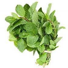 Dalia pudina urdu recipe, step by step instructions of the recipe in urdu and english, easy ingredients, calories, preparation time, serving and videos in urdu cooking. Mint Leaf Daun Pudina 200gm Pkt Sold Per Pkt Horeca Suppliers Supplybunny