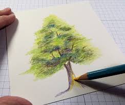 Tree Color Pencil Drawing Color Pencil Drawing Ideas ✓ free for commercial use ✓ high quality images.