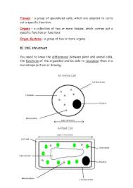 Igcse Biology Revision Notes 2 Biology Revision Igcse Biology Science Notes