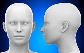 Blank White Female Head Side View Stock Illustrations