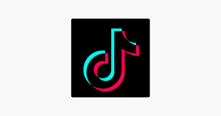 Pin On Tik Tok