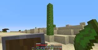 However, other sources suggest that it would be closer to 1 block every minute. How Is This Cactus So Big Im Scared Cactus Are Only Meant To Grow To 3 Blocks But This Natural Cactus Is Like 6 Blocks Someone Pls Explain Minecraft