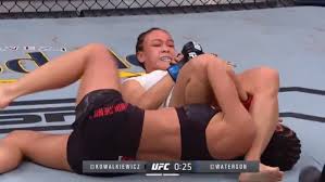 Image result for ufc on espn 2
