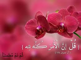 صور ايات قرانية عن الاطمئنان Sowarr Com موقع صور أنت في صورة Blessed Are Those How He Loves Us 10 Things
